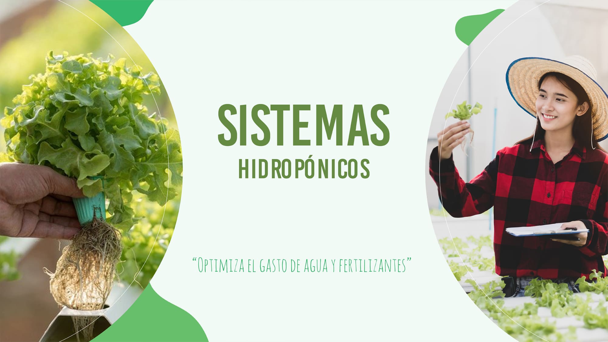 Invernaderos hidropónicos