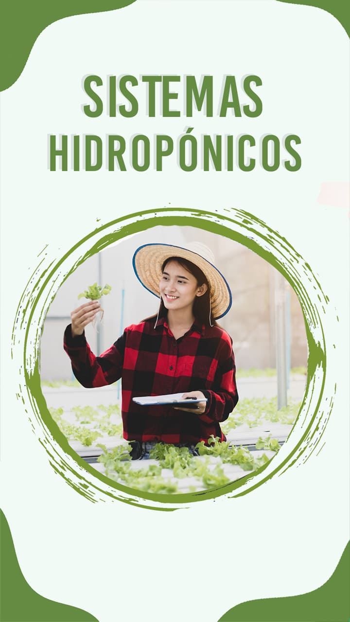 Invernaderos hidropónicos