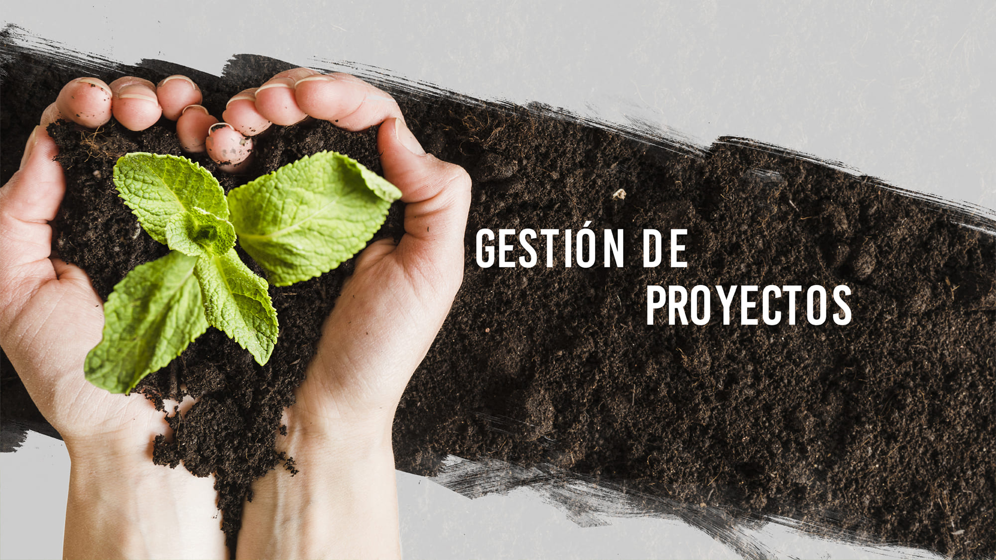 Desarrollo agrícola