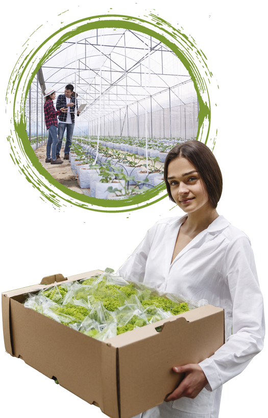 sipla, Sistemas integrales para la agricultura